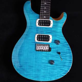エレクトリックギター、Paul Reed Smith(PRS)、CUSTOM 24の検索結果