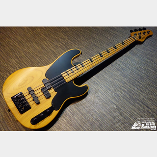 SCHECTER MODEL-T SESSION【中古美品!】