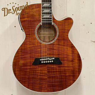 Takamine TSP178ACK  #62030178 【無金利分割OK】【送料込み】