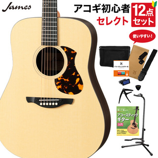 James J-1D アコースティックギター セレクト12点セット 初心者セット 簡単弦高調整 ドレッドノート