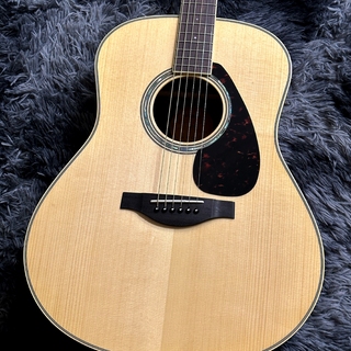 アコースティックギター／エレクトリック・アコースティックギター