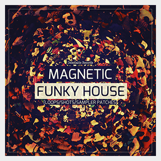 DELECTABLE RECORDS MAGNETIC FUNKY HOUSE