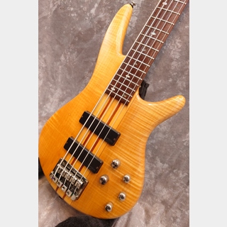 スルーネック 5弦の検索結果【楽器検索デジマート】