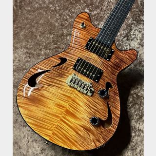 エレクトリックギター、T's Guitars、Arc Hollowの検索結果【楽器検索