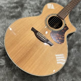 アコースティックギター／エレクトリック・アコースティックギター