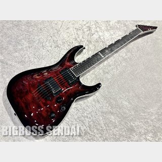 E-II  HORIZON NT-II / See Thru Black Cherry Sunburst【即納可能】