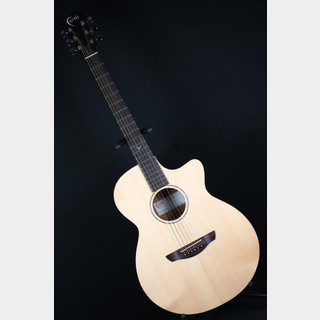 アコースティックギター／エレクトリック・アコースティックギター