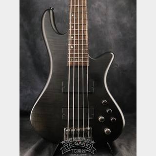 スルーネック 5弦の検索結果【楽器検索デジマート】