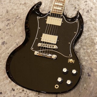 日本製　SG type エレクトリックギター ＞ SGタイプ、Gibsonの検索結果【楽器検索