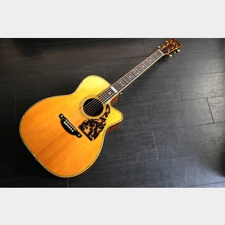 SHELLYの検索結果【楽器検索デジマート】