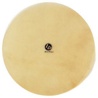 LP LP221A FLAT SKIN CONGA19 コンガ用ヘッド