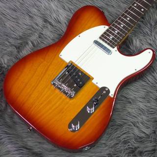 Tokai ATE-102 ITB/R #240491【日本製希少入荷・完成度の高い作りとサウンドクオリティ】