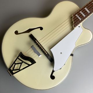 アコースティックギター／エレクトリック・アコースティックギター