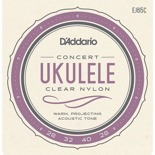 D'AddarioEJ65C Concert Ukulele [ウクレレ弦]