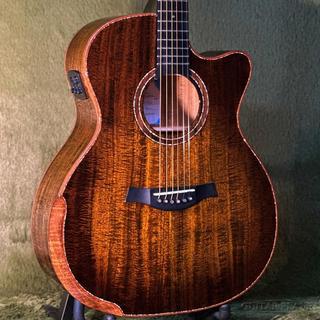 アコースティックギター／エレクトリック・アコースティックギター