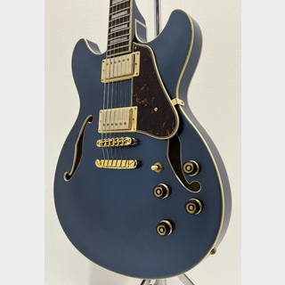 Ibaneze セミアコ　【超美品】 エレクトリックギター ＞ セミアコ、Ibanezの検索結果【楽器検索