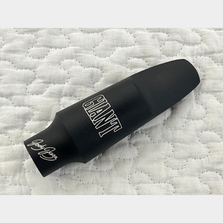 管楽器・吹奏楽器、JODY JAZZの検索結果【楽器検索デジマート】