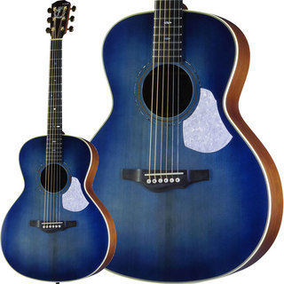 アコースティックギター／エレクトリック・アコースティック