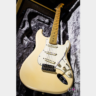 FenderAmerican Professional Stratocaster MN OWT 2018