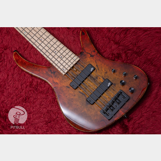 innerwood BASS EXPRESS エレキベース Inner Wood