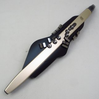 RolandAE-20SC Aerophone エアロフォン 【横浜店】