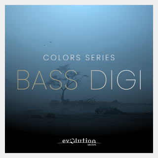 EVOLUTION SERIES WORLD COLORS BASS DIZI