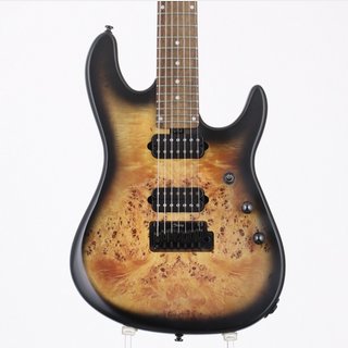 Sterling by MUSIC MAN Richardson 7 Natural Poplar Burl Burst【新宿店】