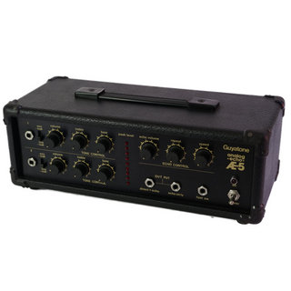 Guyatone【中古】 アナログエコー Guyatone AE-5 analog echo ディレイ エコー エフェクター