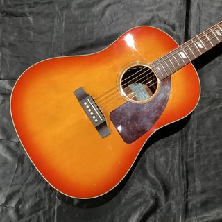 Epiphone FT-79 VC Inspired by Texan 