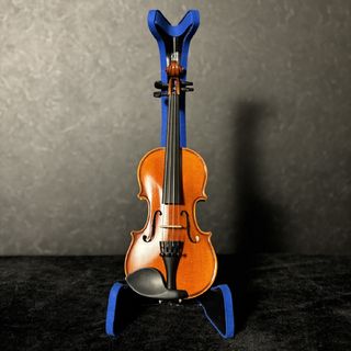 Eastman VL80セット 1/10