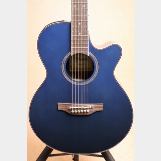 エレクトリック・アコースティックギター、Takamineの検索結果【楽器