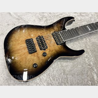 E-ii E2 ESP レスポールタイプ　ほぼ新品　EC ダンカンPU レスポールギター ESP E-Ⅱ