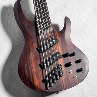 LTD B-1005SE MULTI-SCALE【現物画像】