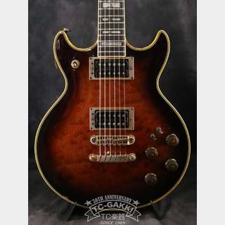 エレクトリックギター、Ibanez、ARの検索結果【楽器検索デジマート】