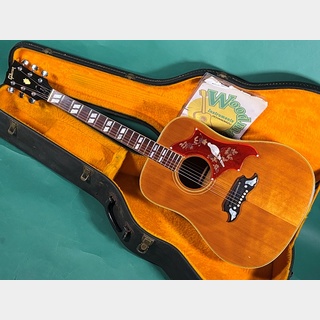 アコースティックギター、Gibson、Doveの検索結果【楽器検索