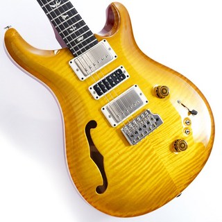 Paul Reed Smith(PRS) Special Semi-Hollow (McCarty Sunburst ) #0376835