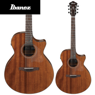Ibanez AE295 - LGS ( Natural Low Gloss ) -