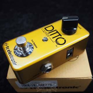 tc electronic DITTO LOOPER Gold(Limited Edition)