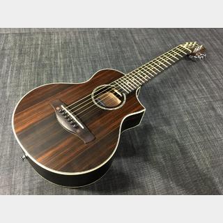 Ibanez EWP13WB-DBO