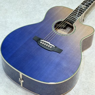 アコースティックギター、Takamineの検索結果【楽器検索デジマート】