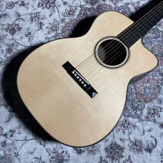 アコースティックギター／エレクトリック・アコースティック