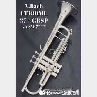 Bach LT180ML37☆GBSP【中古】【バック】【ライトウェイトボディ】【ゴールドブラスベル】【ウインドお茶の水】