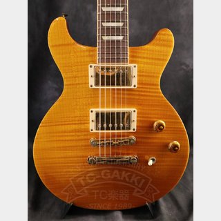 エレクトリックギター ＞ レスポールタイプ、gibson、Les Paul