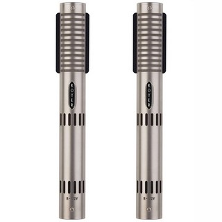 Royer Labs R-122V stereo matched pair