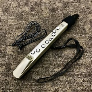 Roland AE-01【現物写真】