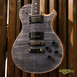 Paul Reed Smith(PRS) SE McCarty594 Singlecut