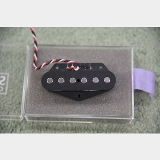 SCHECTER MONSTER TONE TE / Tapped REAR