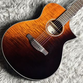 アコースティックギター／エレクトリック・アコースティック