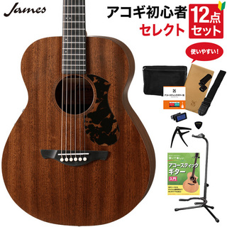 James J-300CP/M NAM アコースティックギター 教本付きセレクト12点セット エレアコギター