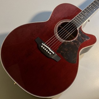 Takamine DMP50S WR エレアコギター 【島村楽器 x Takamine コラボモデル】